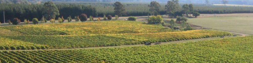Alpine Valleys Wine Region
