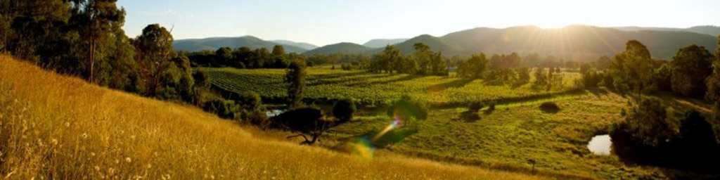 Nature-Views-Summer-KingValley-4x1 King Valley