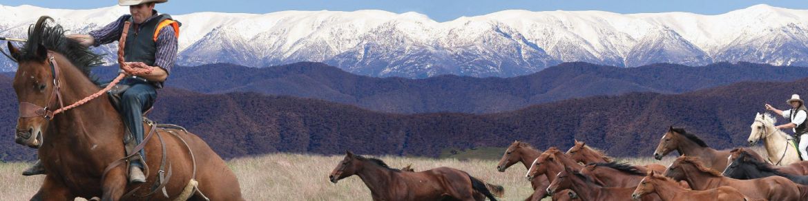 Activities-HorseRiding-Winter-4x1 Man from Snow River Festival Corryong