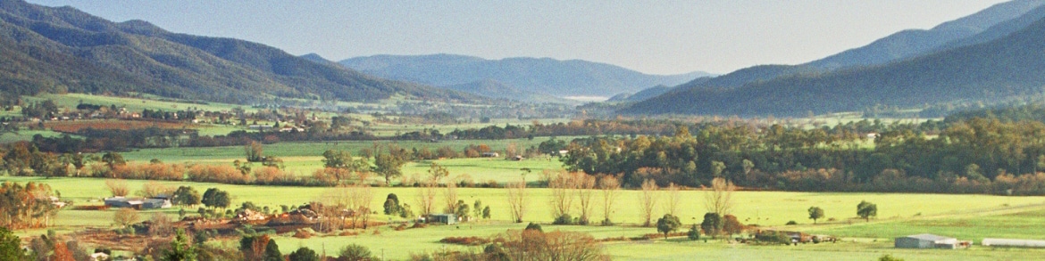 Nature-Views-Summer-KiewaValley-4x1 Mount Beauty
