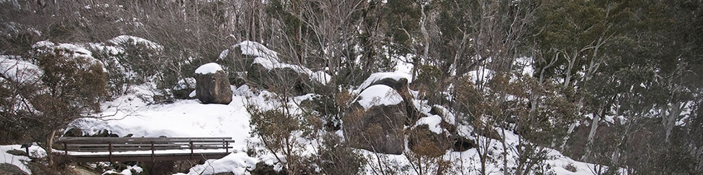 Nature-Walk-Winter-MtBuffalo-4x1 Mount Buffalo Winter Walks