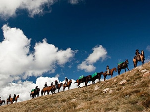 Bogong horseback adventures