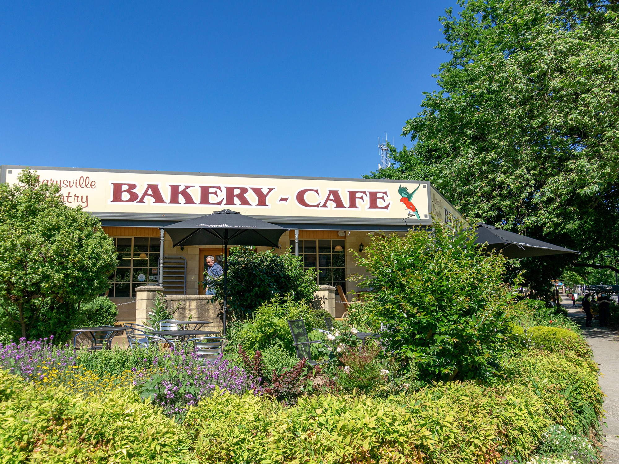 Marysville country bakery cafe murrindindi summer