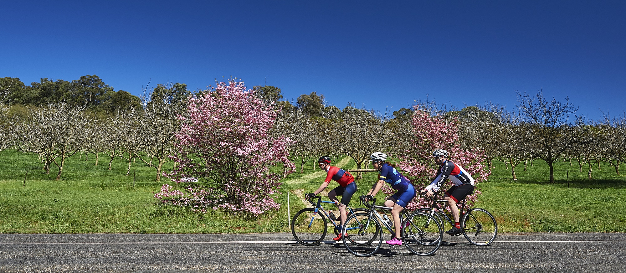 Cycling Rail Trails Road Cycling Mountain Biking