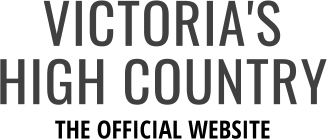 VHC-Logo-Centered