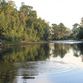 King River at Gentle Annie