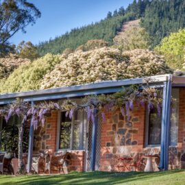 Stone featured units under Mystic Mt with veranda and wisteria