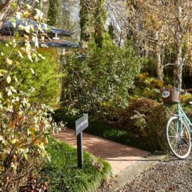Pizzini's Vineyard Guesthouse