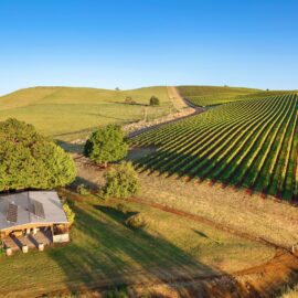Mt Bellevue King Valley