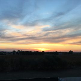View from deck