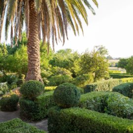 Karalilla - Traditional Hedge Garden