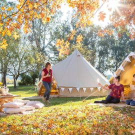 Valley View Glamping