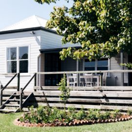 Lots of space in the back yard for a dog or kids to play