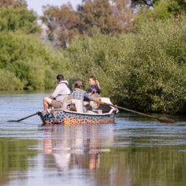Goulburn Valley Fly Fishing and Platypus Spotting Summer River