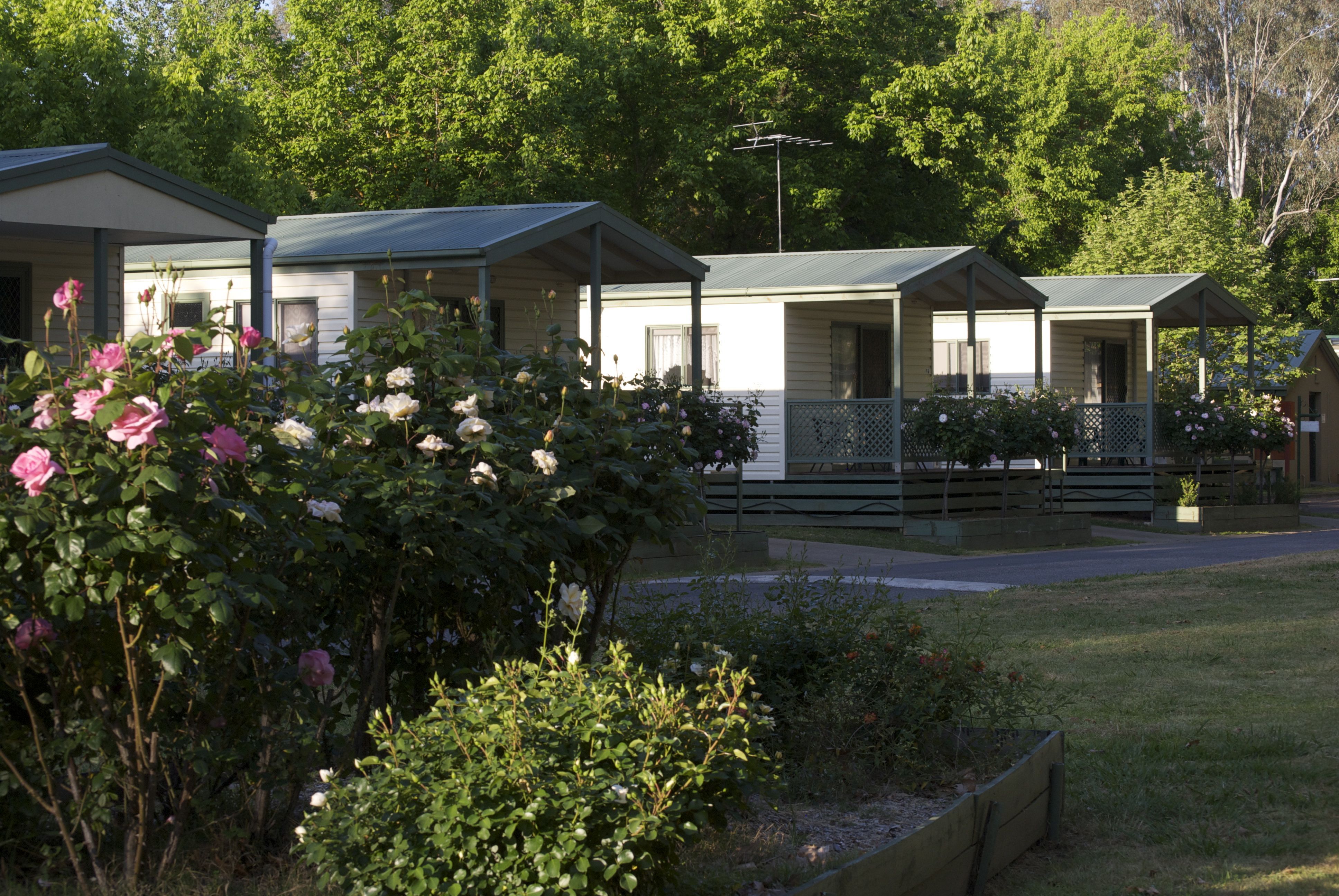 Deluxe One bedroom Cabins