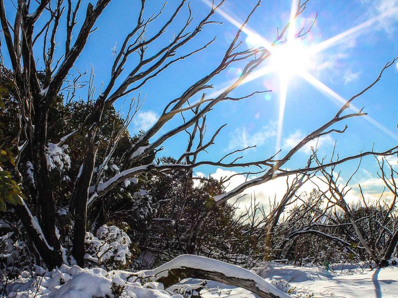 Mount Buffalo Jaynie Colston