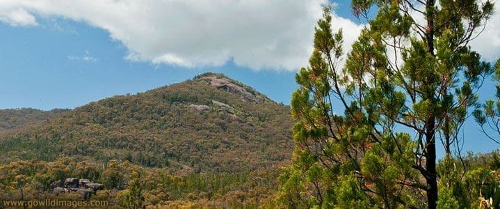 Burrowa-Pine Mountain National Park