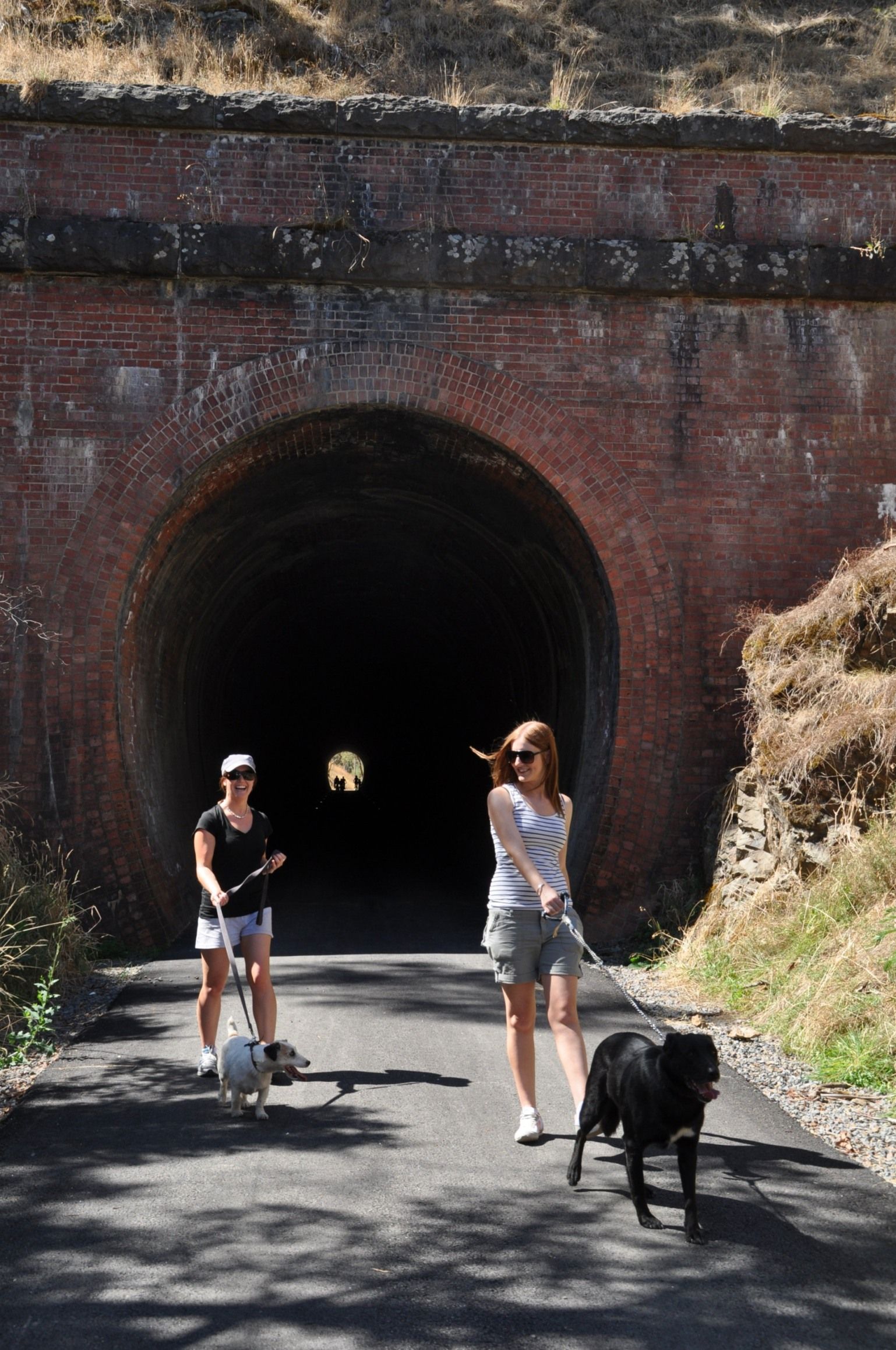 Cheviot Tunnel - people walking dogs along Great Victorian Rail Trail