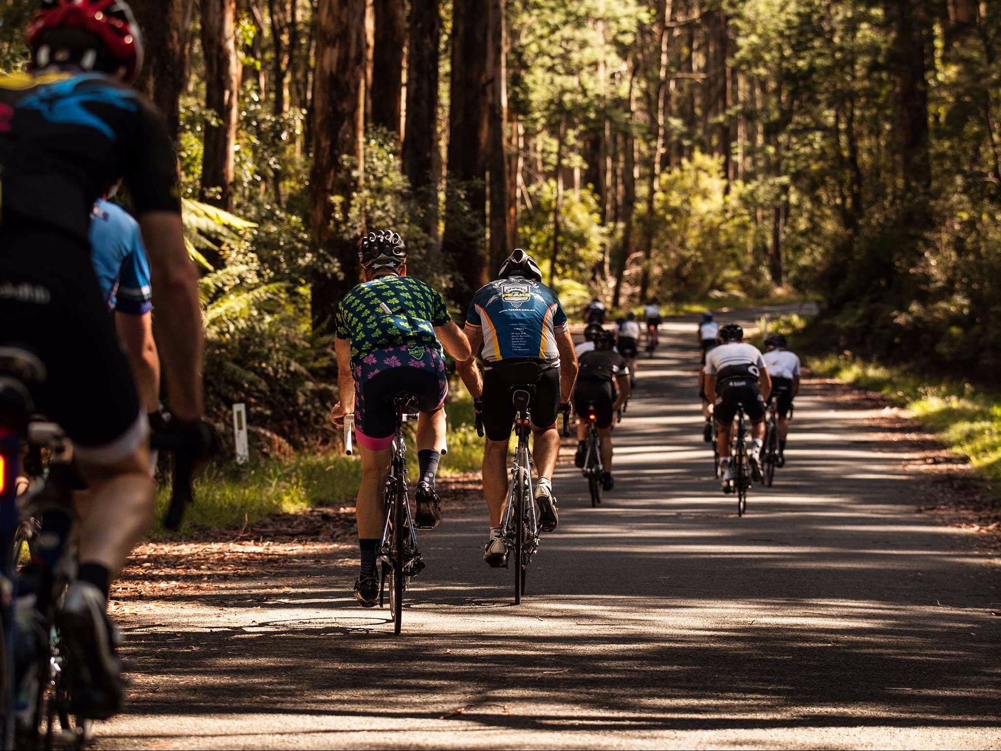 7 Peaks Ride - Mt Baw Baw