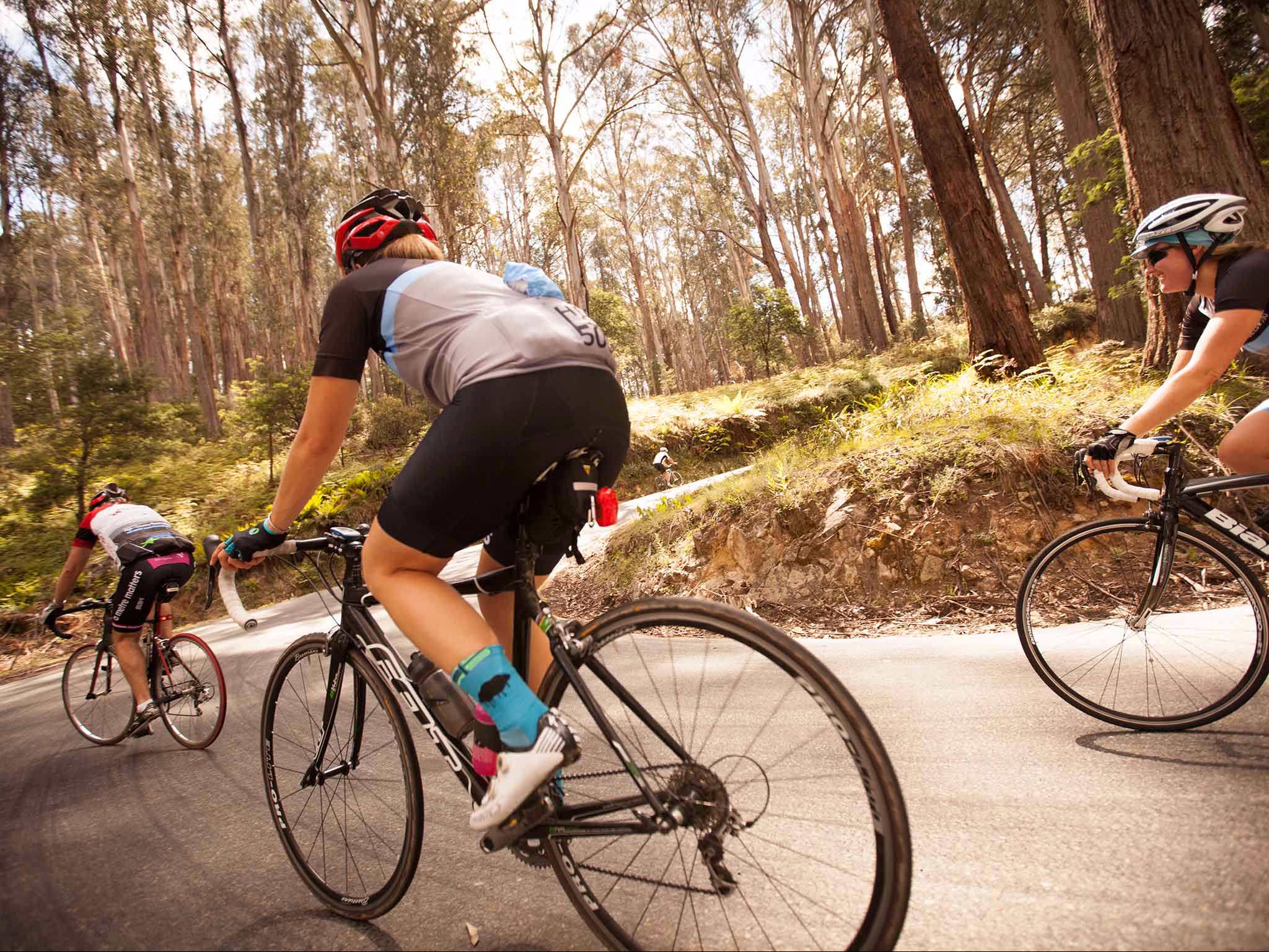 7 Peaks Ride - Mt Buller