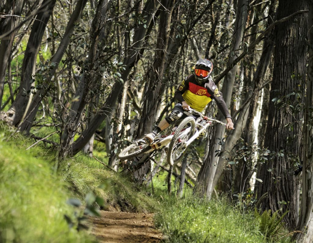 Copperhead Victoria's High Country