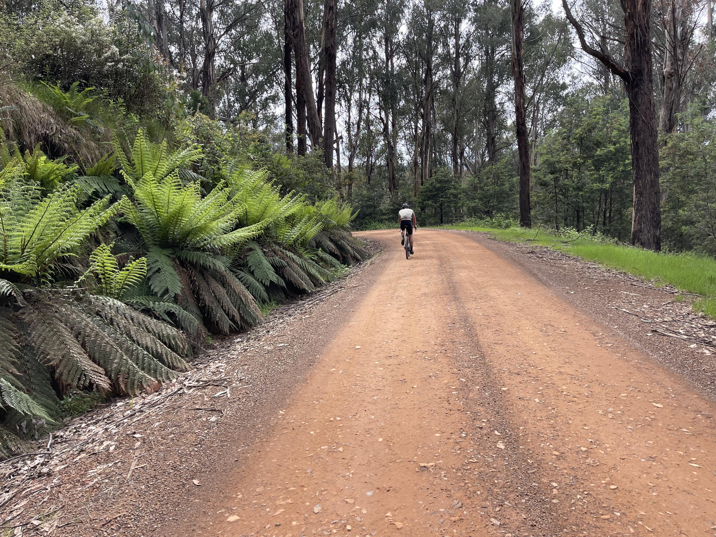 Mt Buller and Mt Stirling Gravel Routes - Mt Stirling Classic Circuit Loop