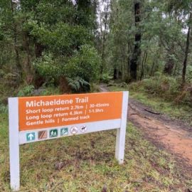 Michaeldene Trail