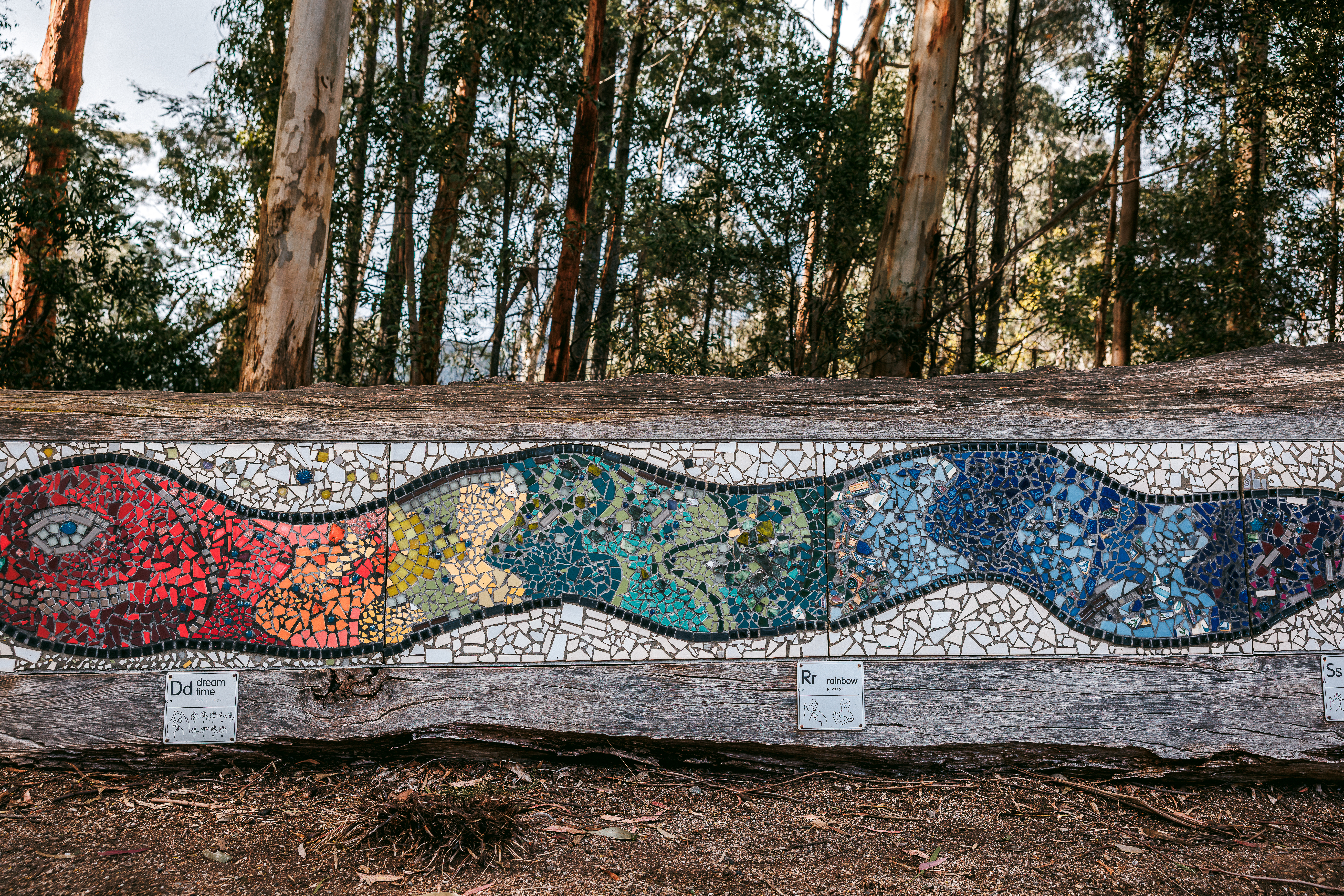 Close-up of a colourful, wavy mosaic art installation on a horizontal log in a forest. There are Auslan signs for 'D for Dreamtime' and 'R for Rainbow'.