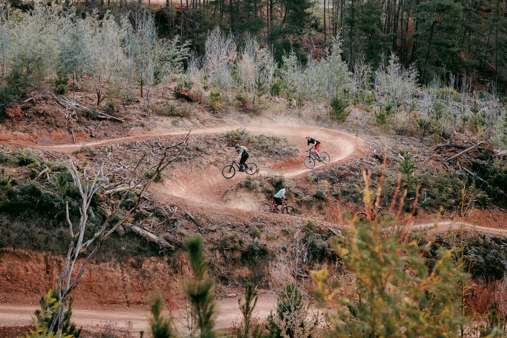 Three mountain bikers riding the berms at Mystic Bike Park between pine trees.