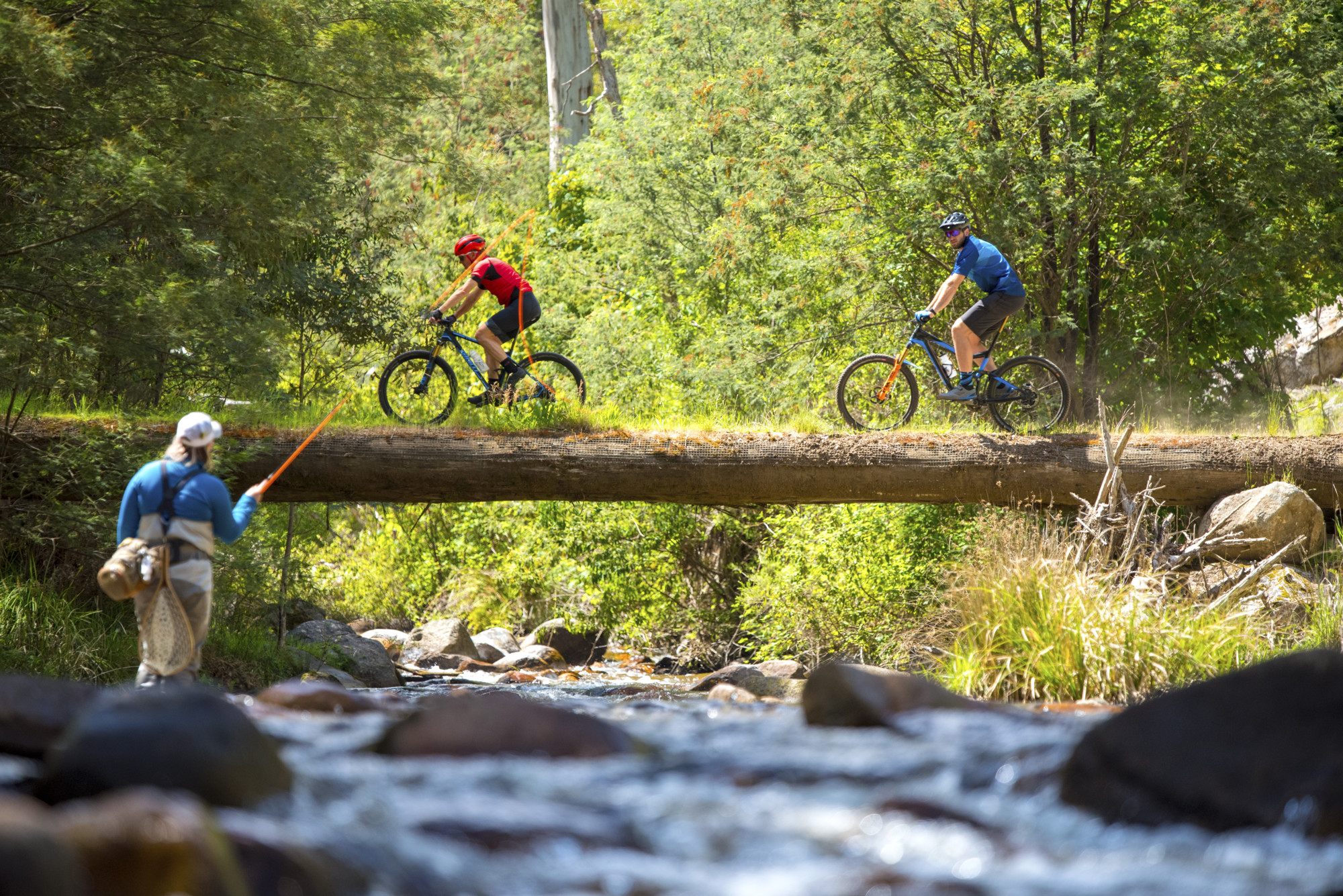 Mt Buller Bike Park - Delatite River Trail