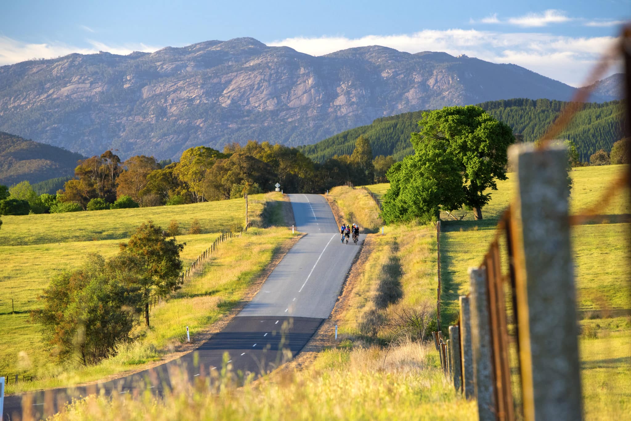 Myrtleford