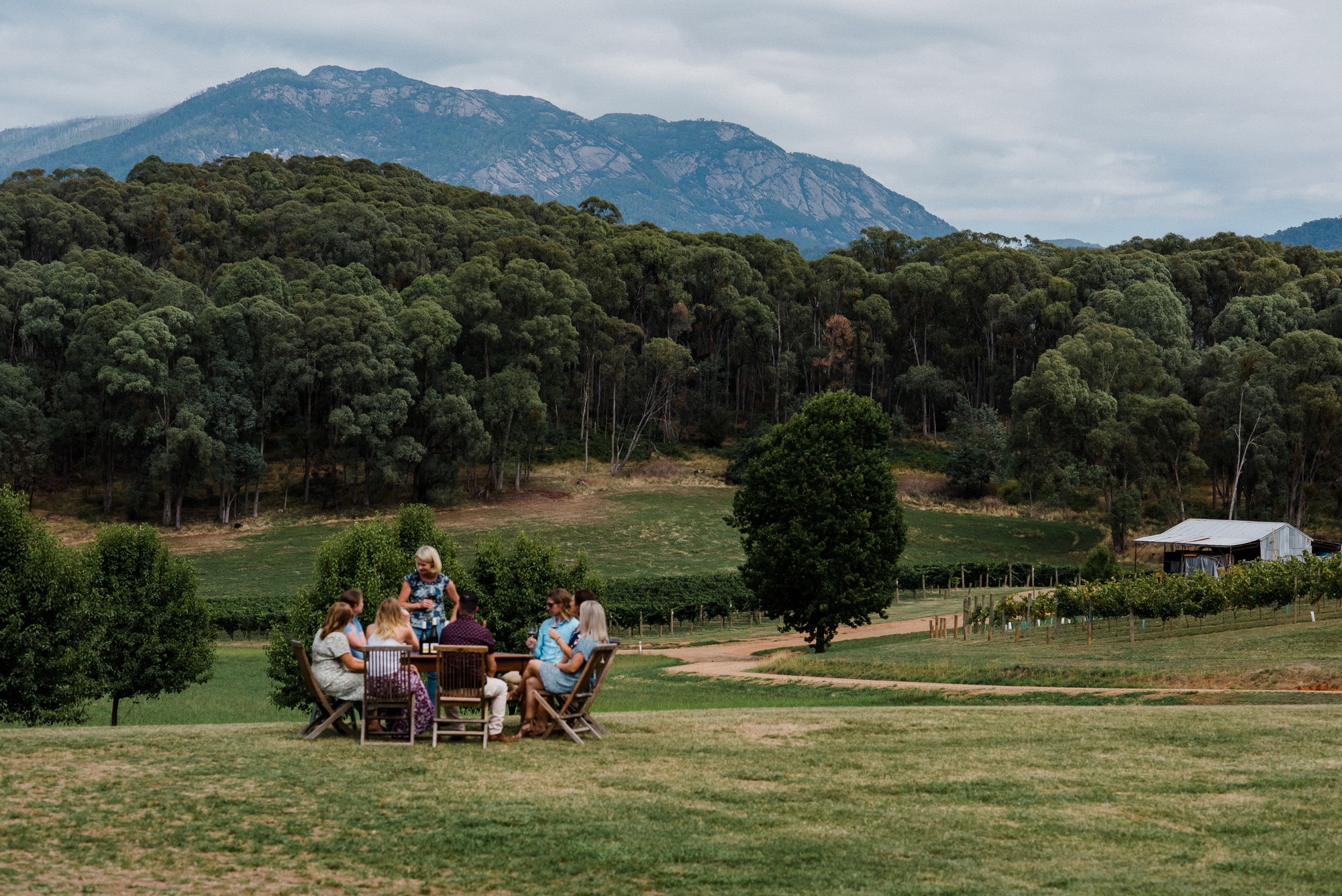 Mayford Wines Eleana Anderson Buffalo Alpine Wine