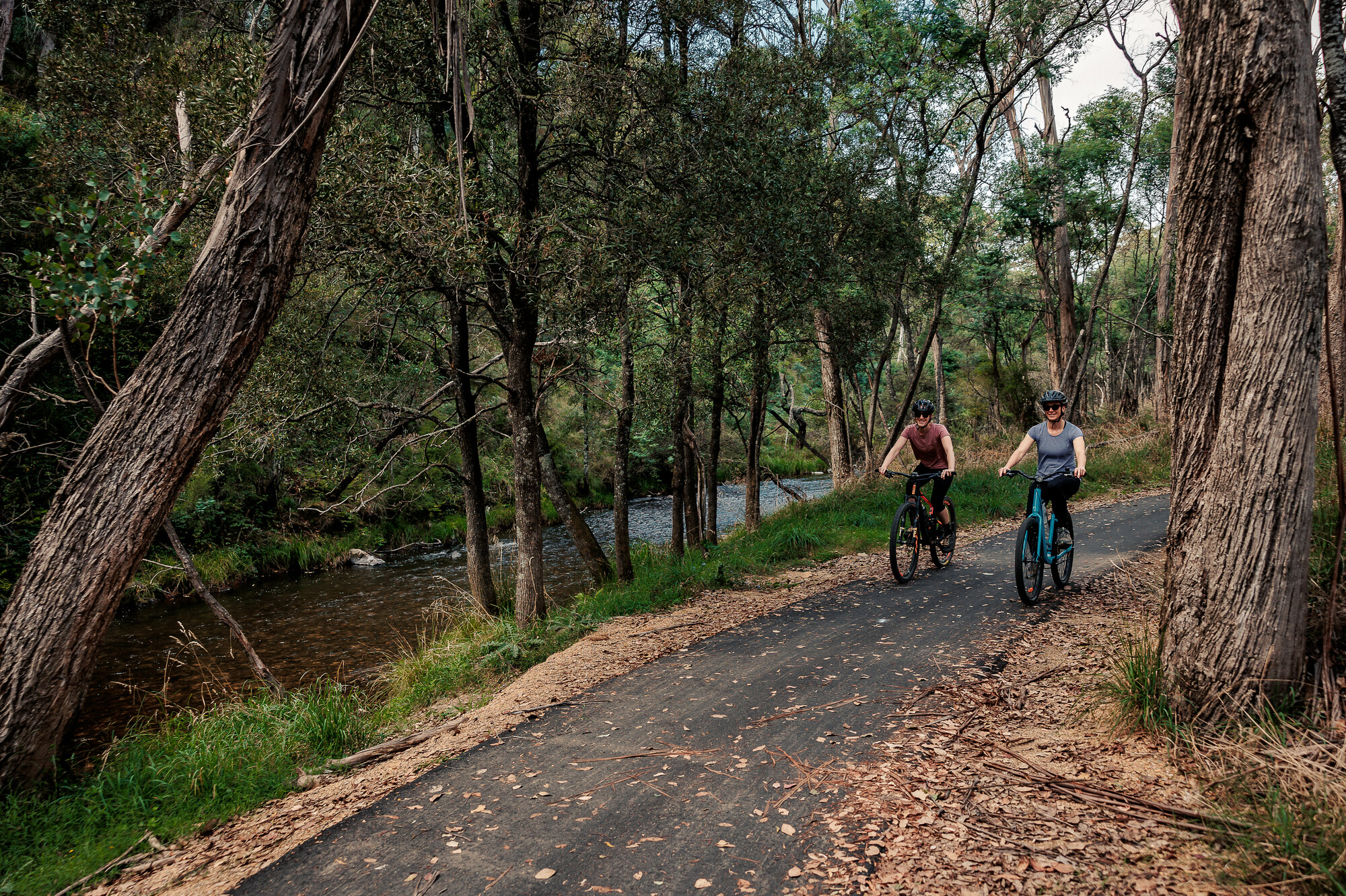 Two cyclists riding through trees on the Great Valley Trail that stretches between Bright and Harrietville