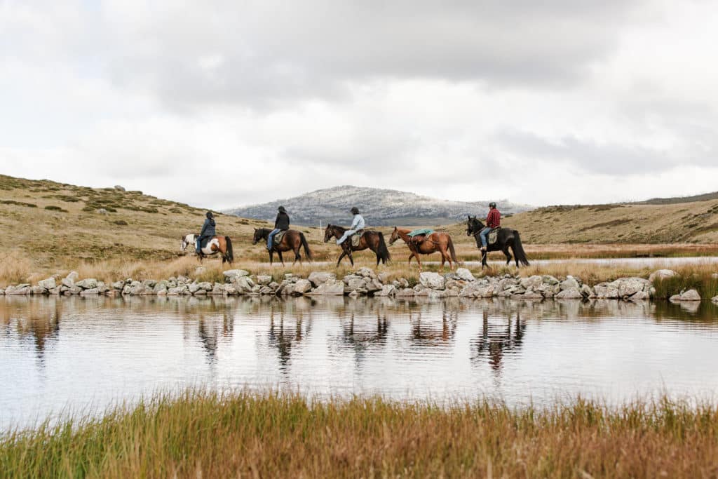 FIVE HORSE RIDERS ON PICTURESQUE MOUNT BOGONG