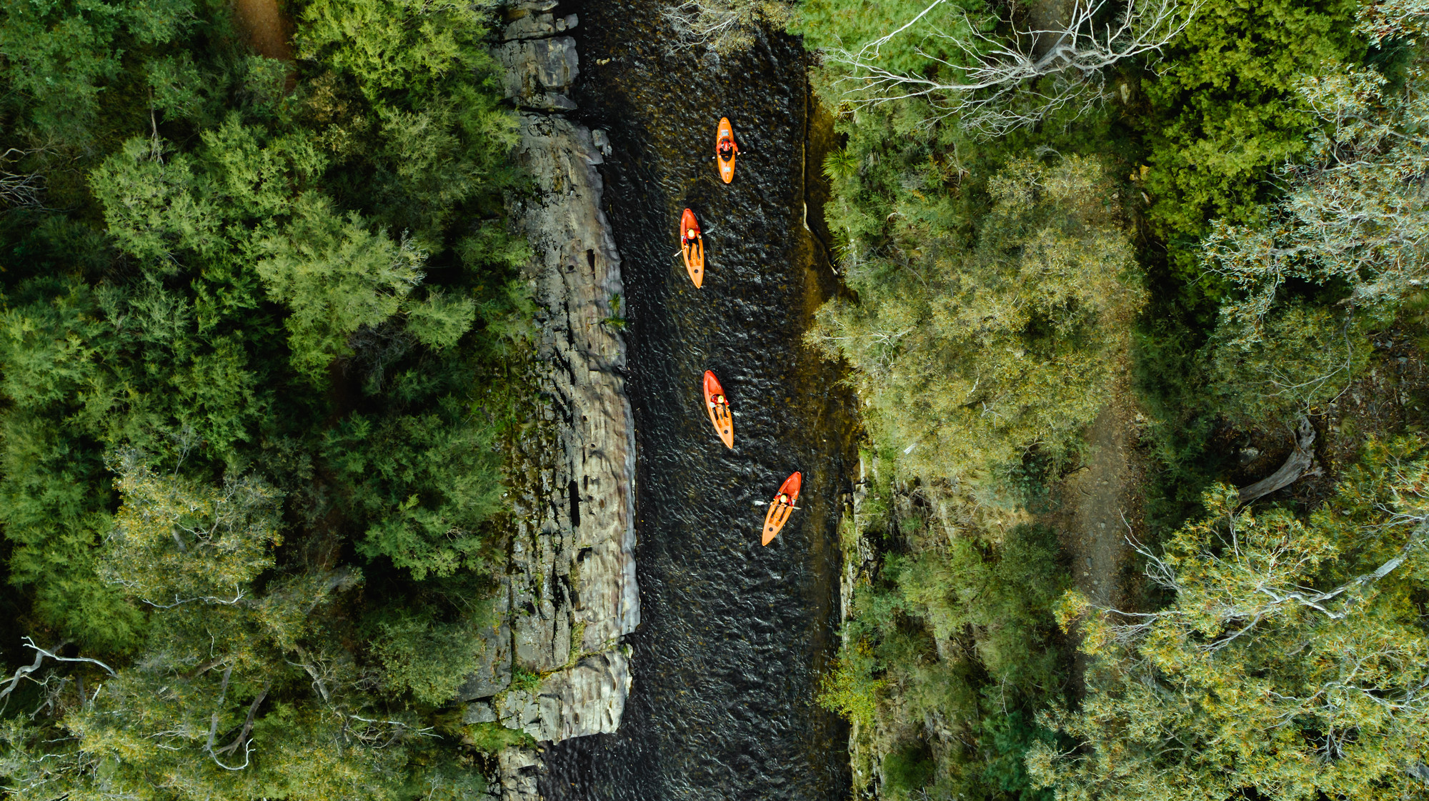Four people kayaking on the Ovens River in Bright through a canyon
