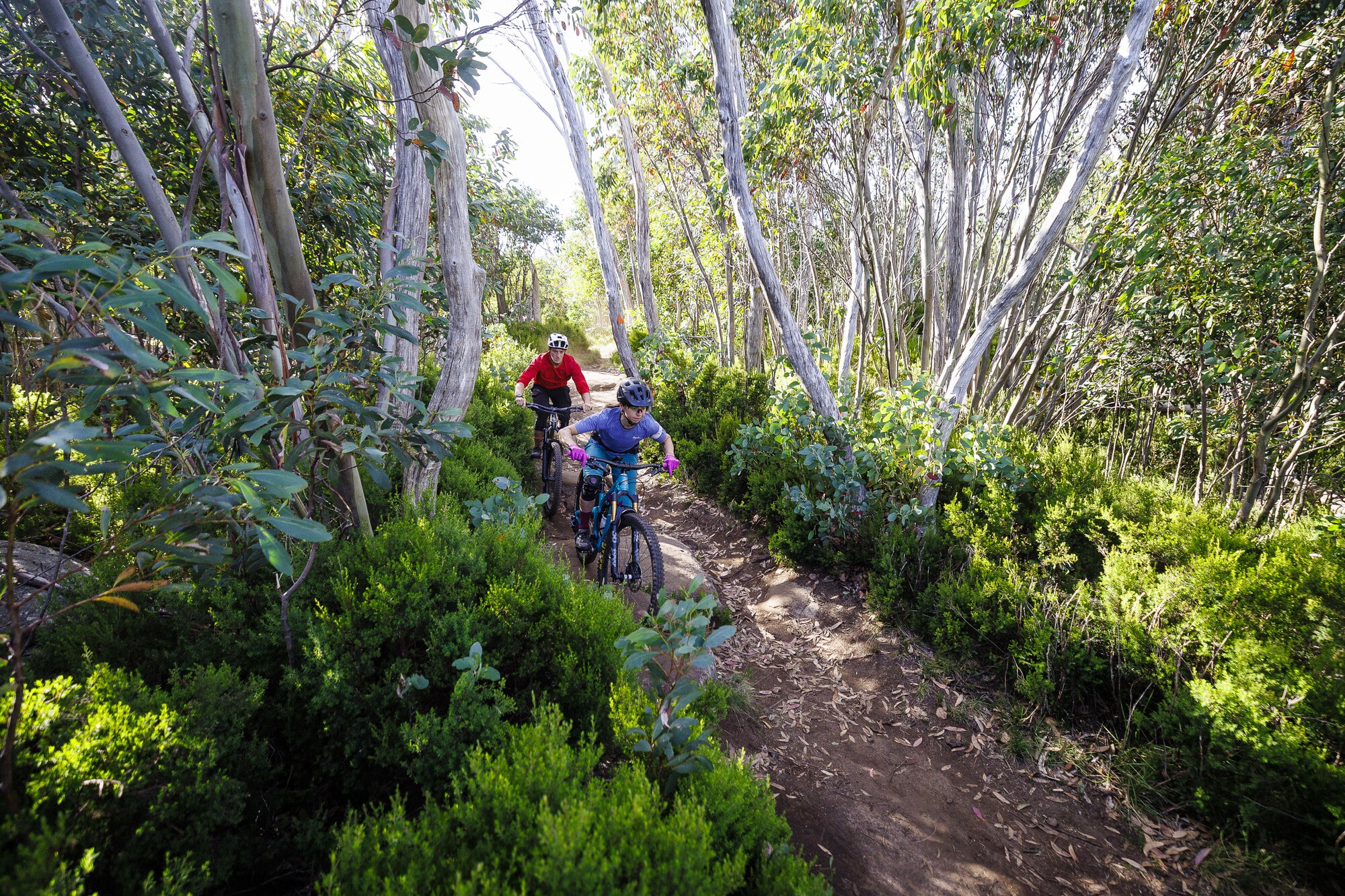 Two cyclists taking on technical features on the Cascades Trail