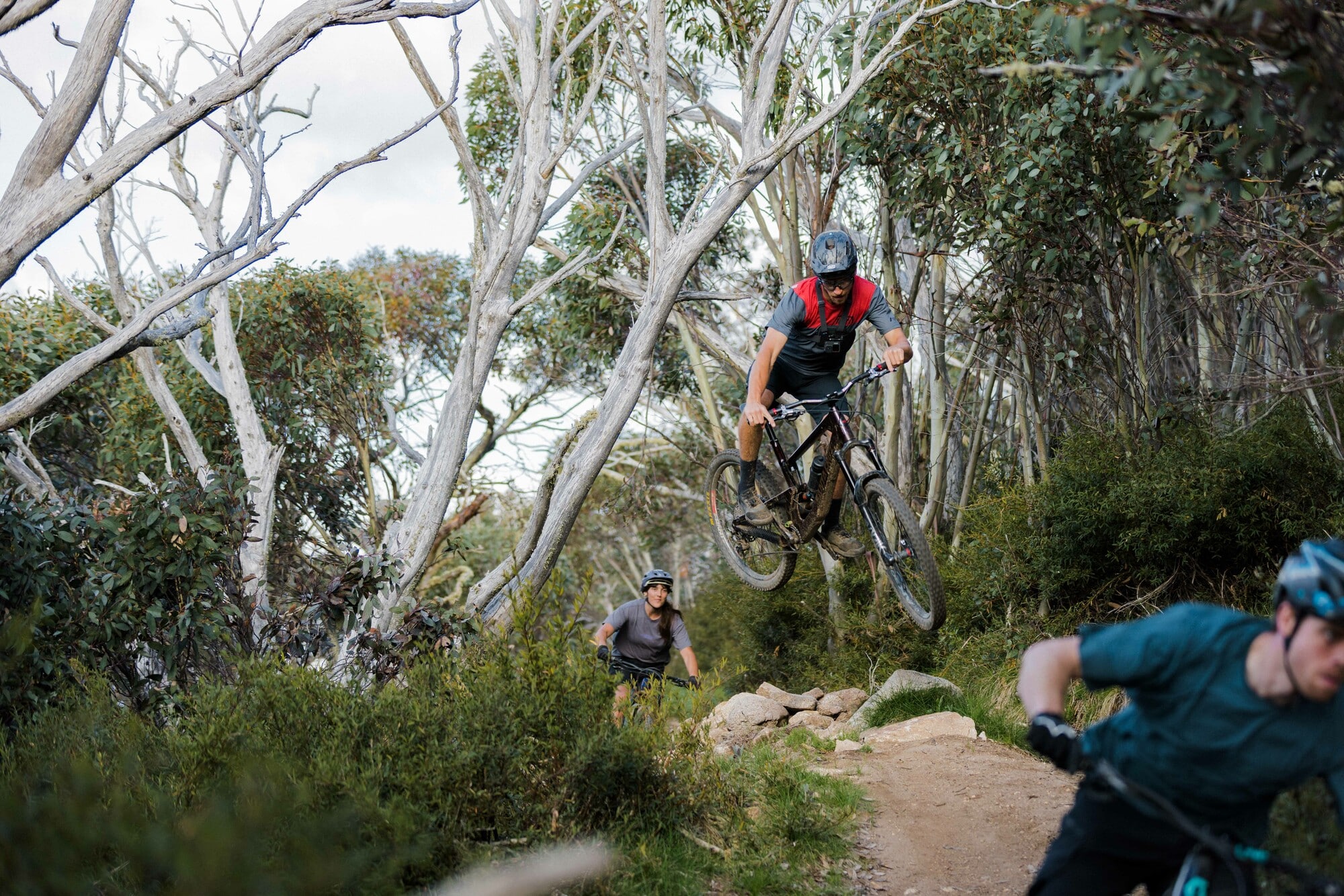 Group of cyclists jumping and riding Mt Buller's alpine network of mountain biking trails.