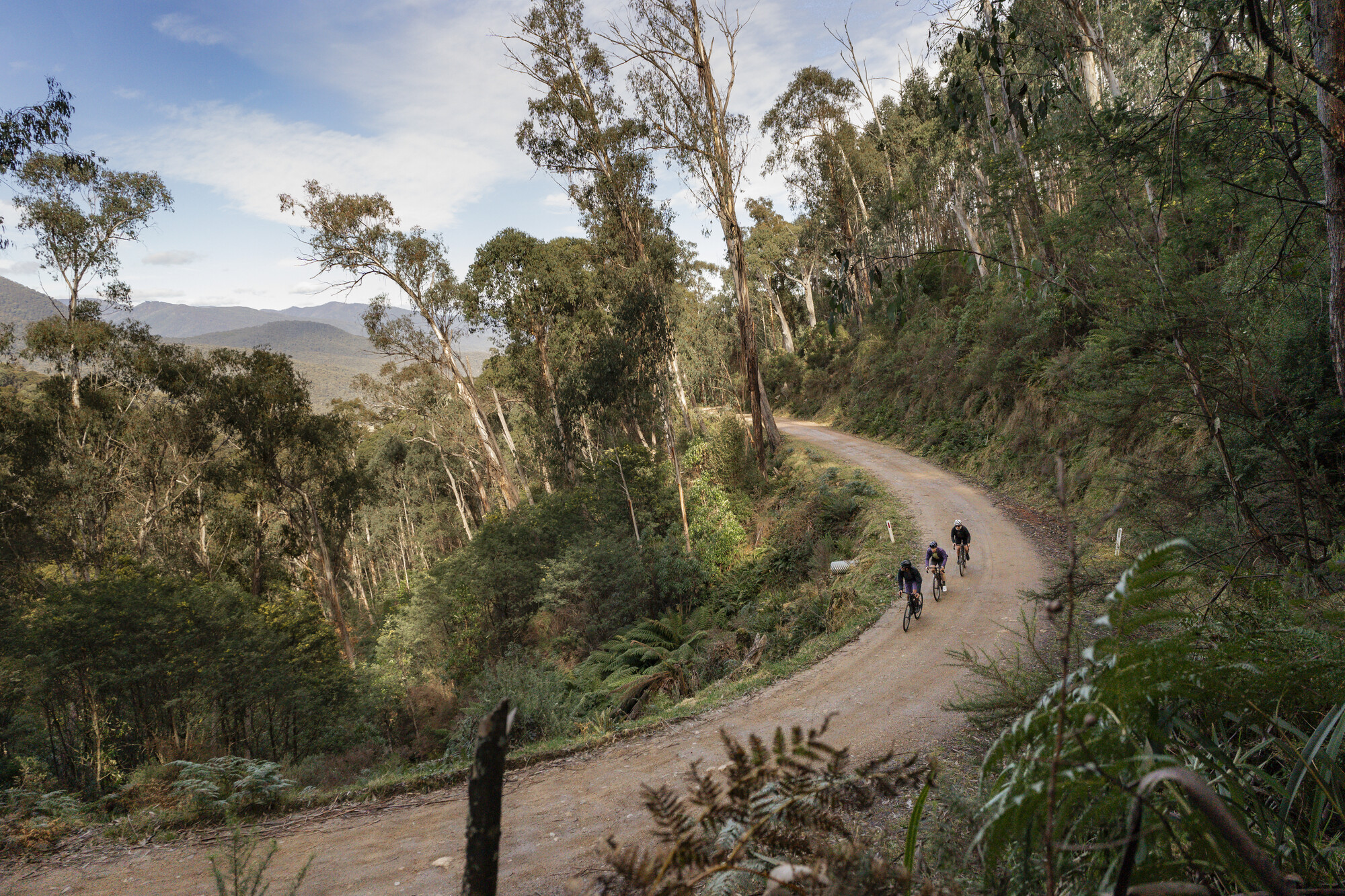 Mount Beauty Gravel - Trappers Gap (Mount Beauty - Mitta Mitta)