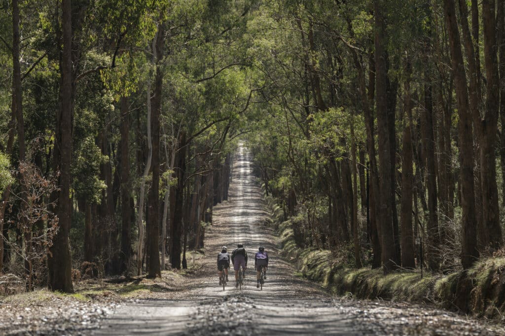 Ride High Country x MAAP PROJECT (10) - Trappers Gap (Mount Beauty - Mitta Mitta)