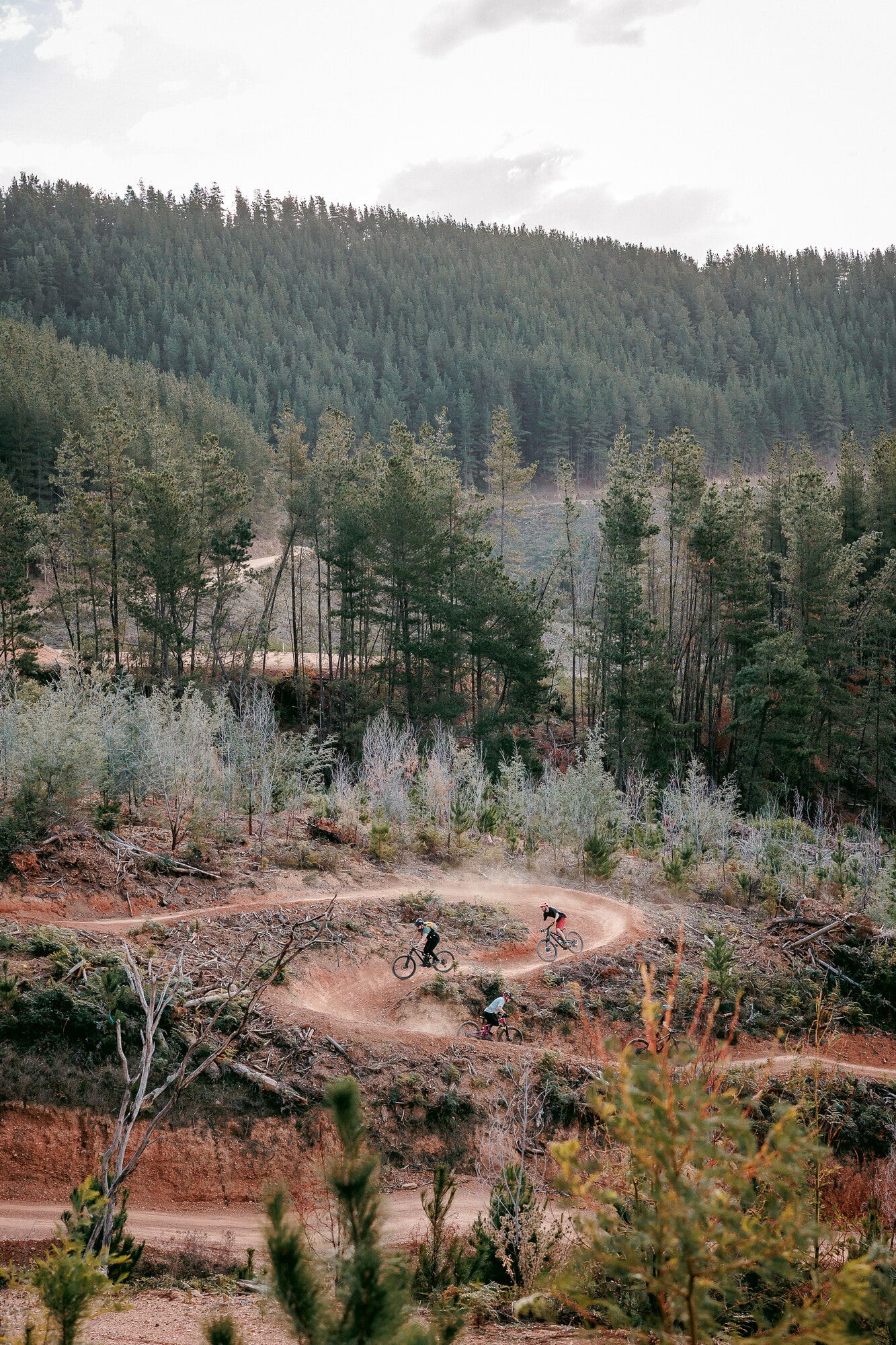 Group cycling at Mystic Bike Park on mountain bikes on a RideCraft guided ride