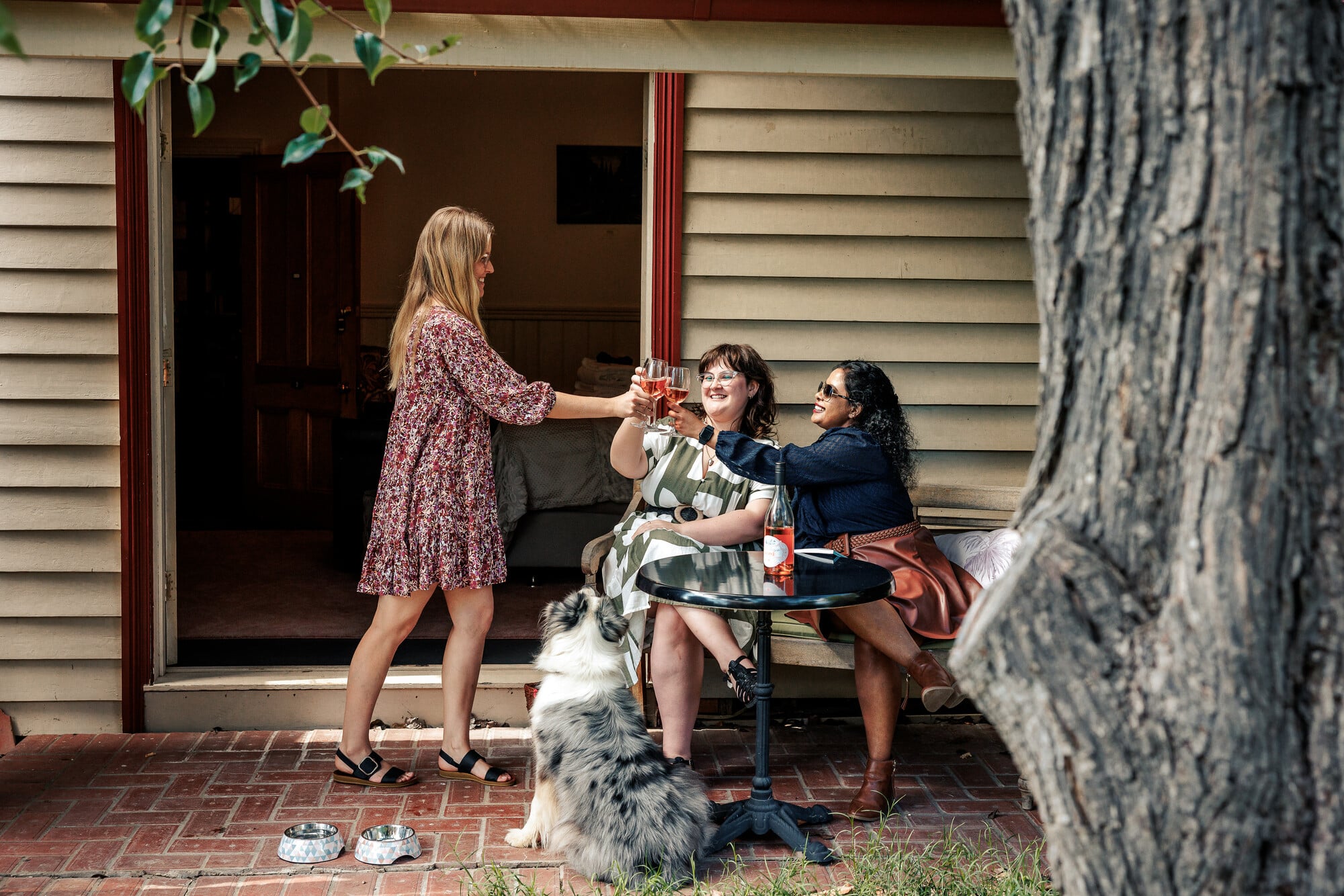 Group of people cheers with wine at Summerlands accommodation