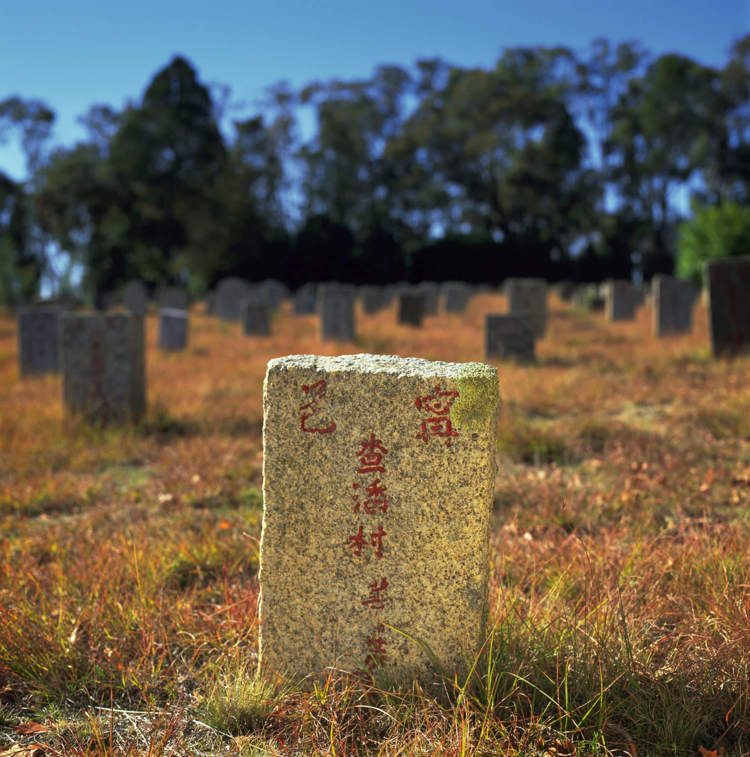 Chinese headstone at Beechworth Cemetery