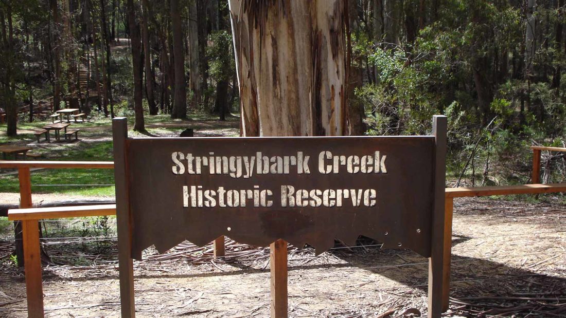 Stringybark Creek