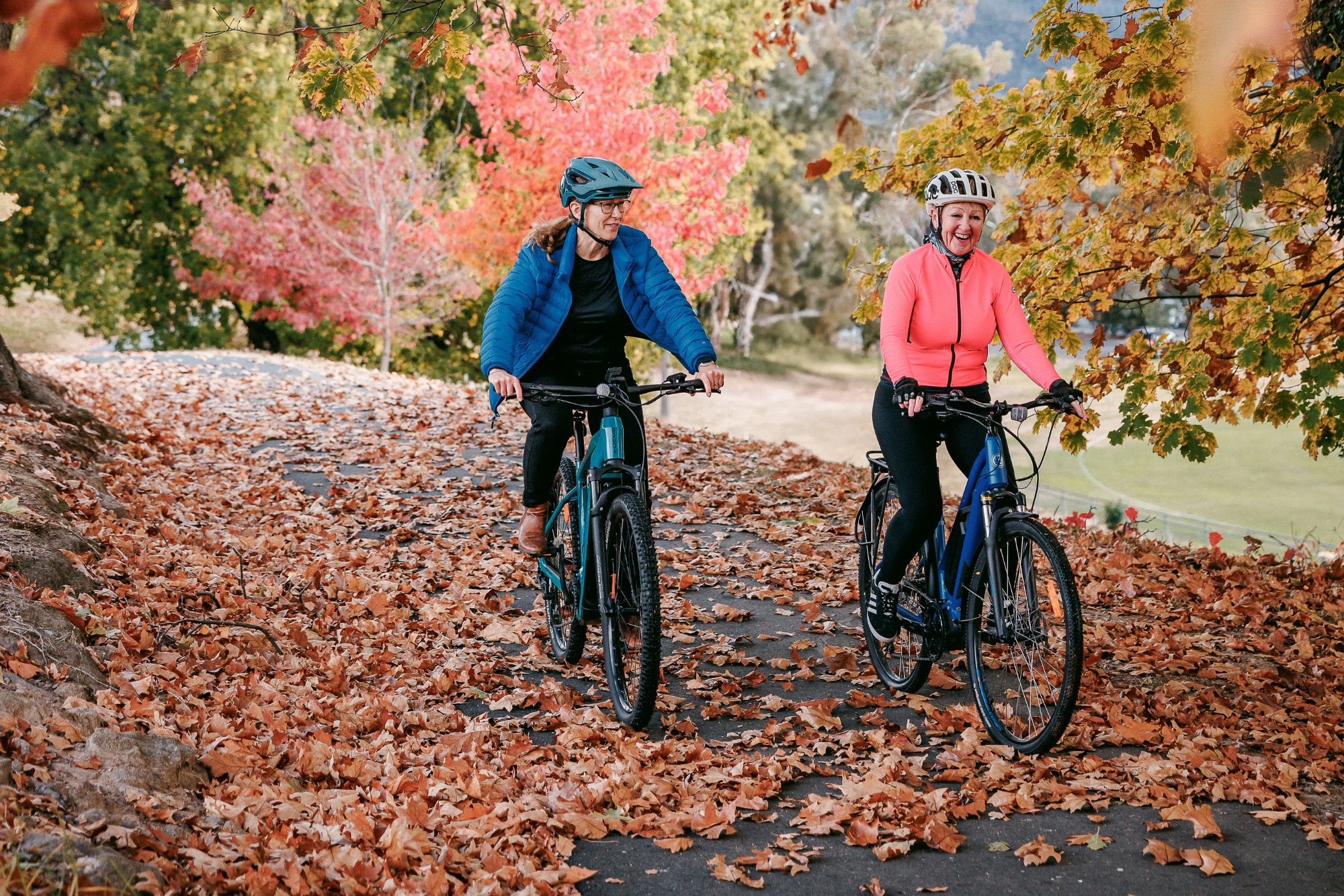 Two people cycling through autumn leaves at Mount Beauty