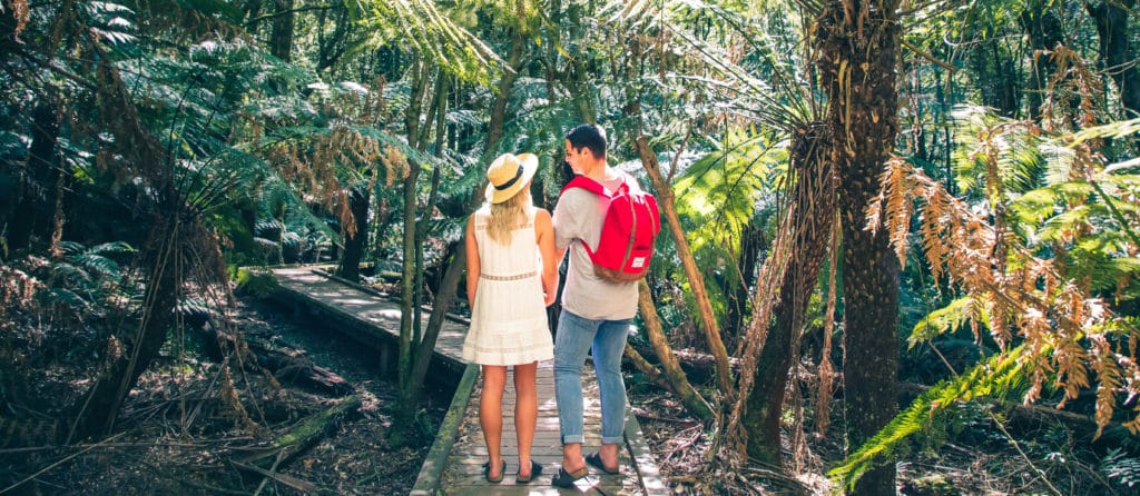 Wirrawilla rainforest walk Murrindindi