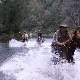 Five Day Man from Snowy River and Heritage Ride