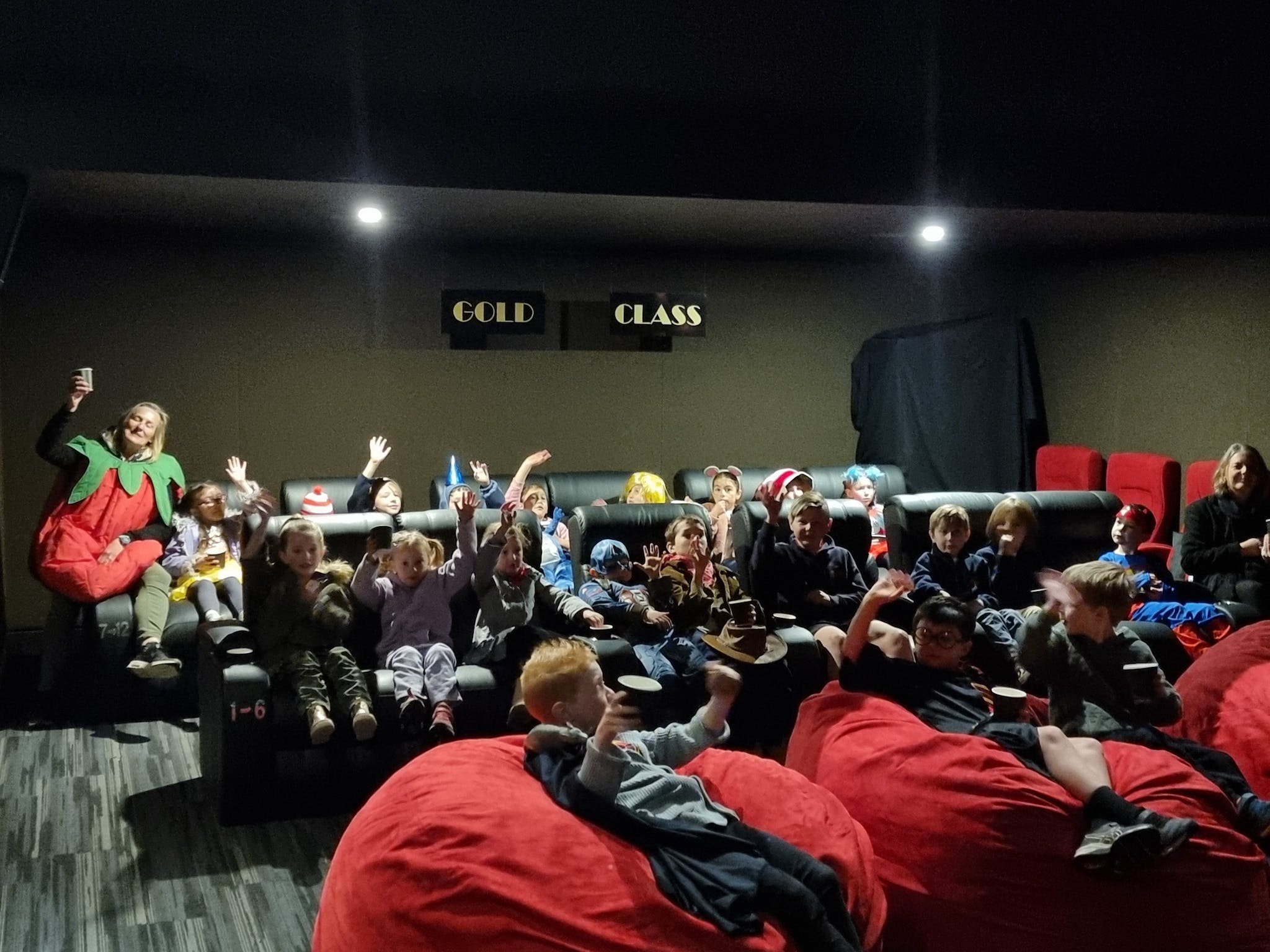 Mansfield Armchair Cinema Victoria's High Country