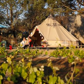 Grapevine Glamping - exterior