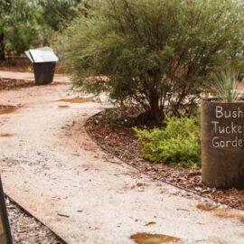 Bush Tucker Garden - Bullawah Cultural Trail