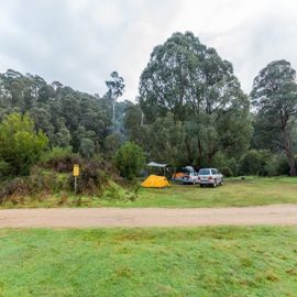 Tent and cars at Tom Groggin campground